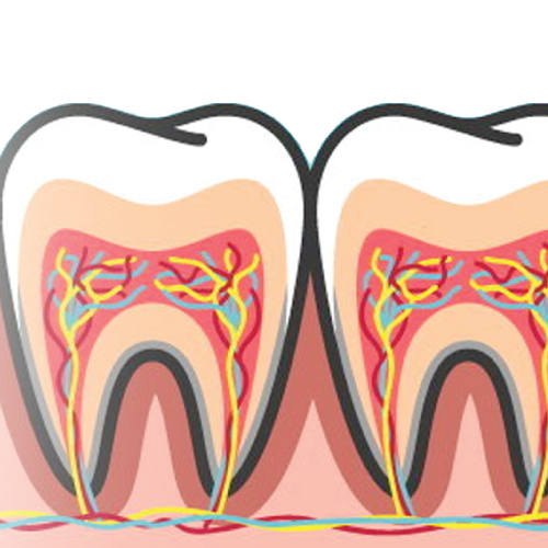 ทำฟัน ขอนแก่น ราคา